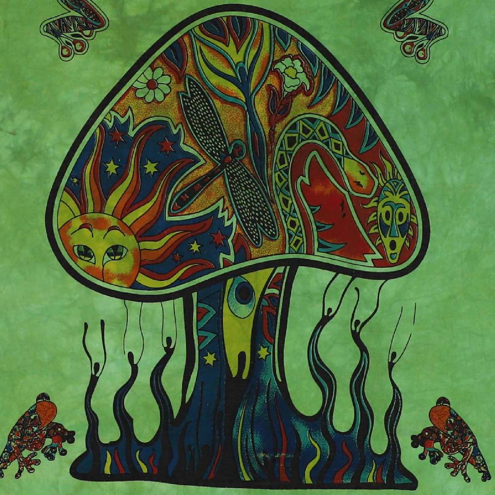 Kunst Und Magie Mushrooms Psy Goa Poster Wandbehang Deko Tuch Psychedelic Dekotuch ca. 210 x 140 cm Zeitlich begrenztes Angebot
