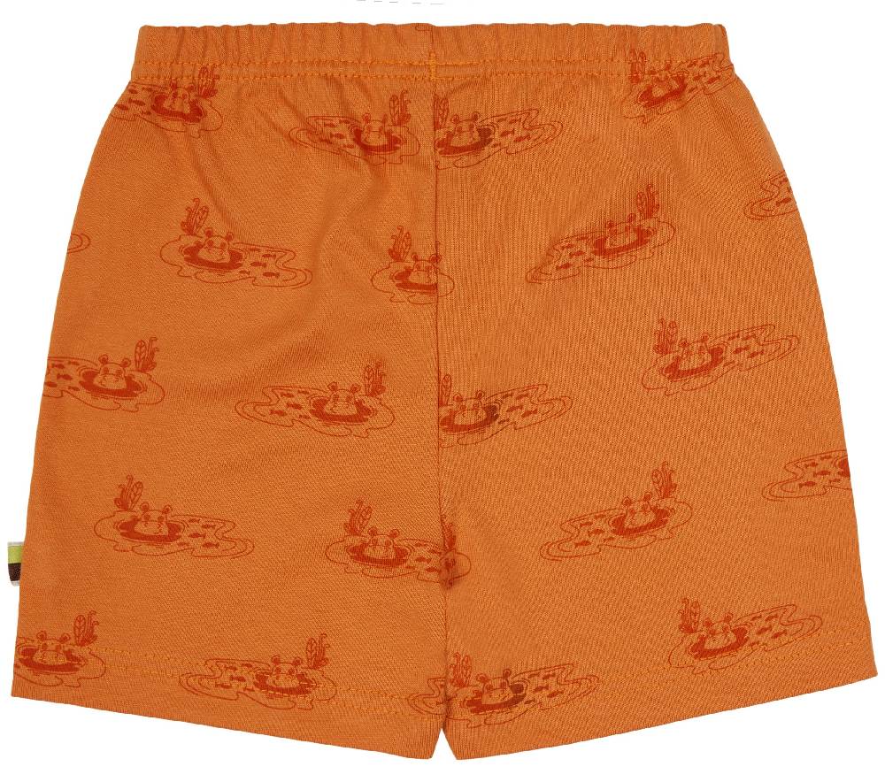 Loud Proud Short Druck Flash Sale