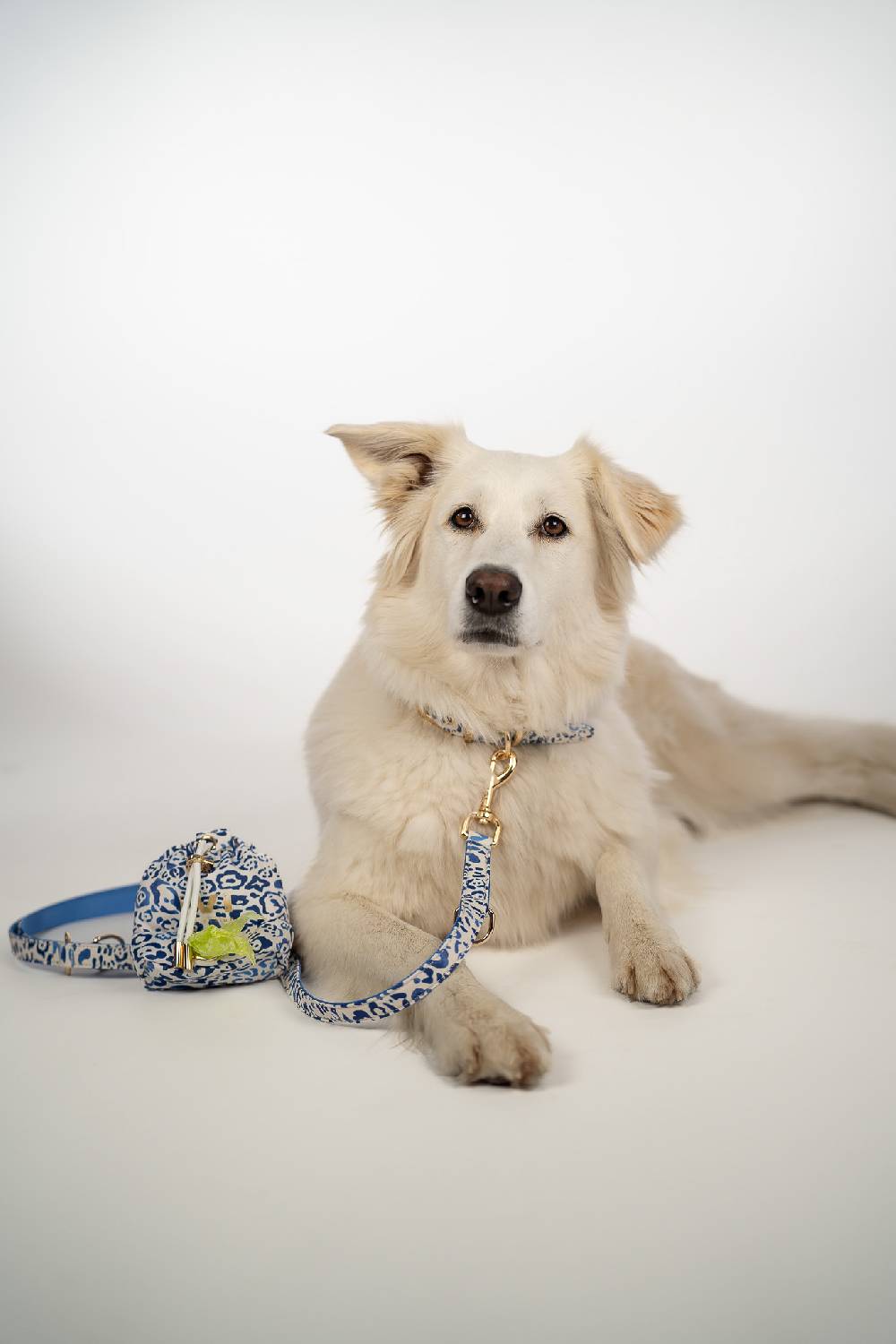 IVI GmbH BLUE LEO Halsband Zeitbegrenzte Promotion