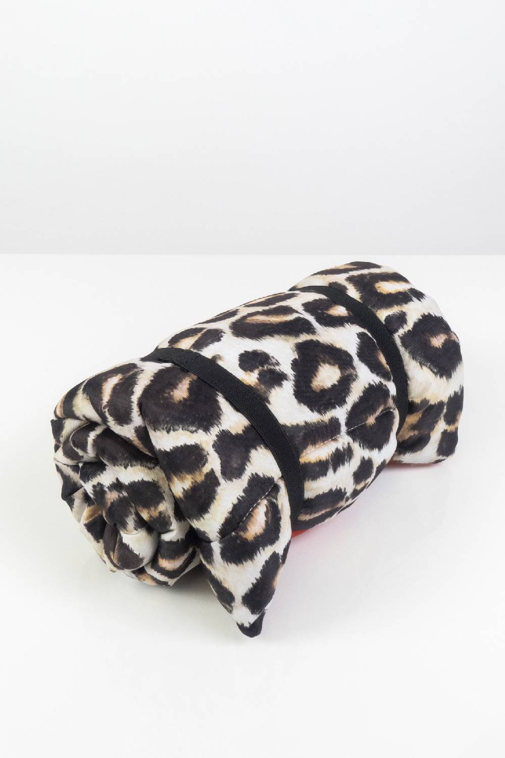 IVI GmbH LEO Dog Mat Super Sparpreis