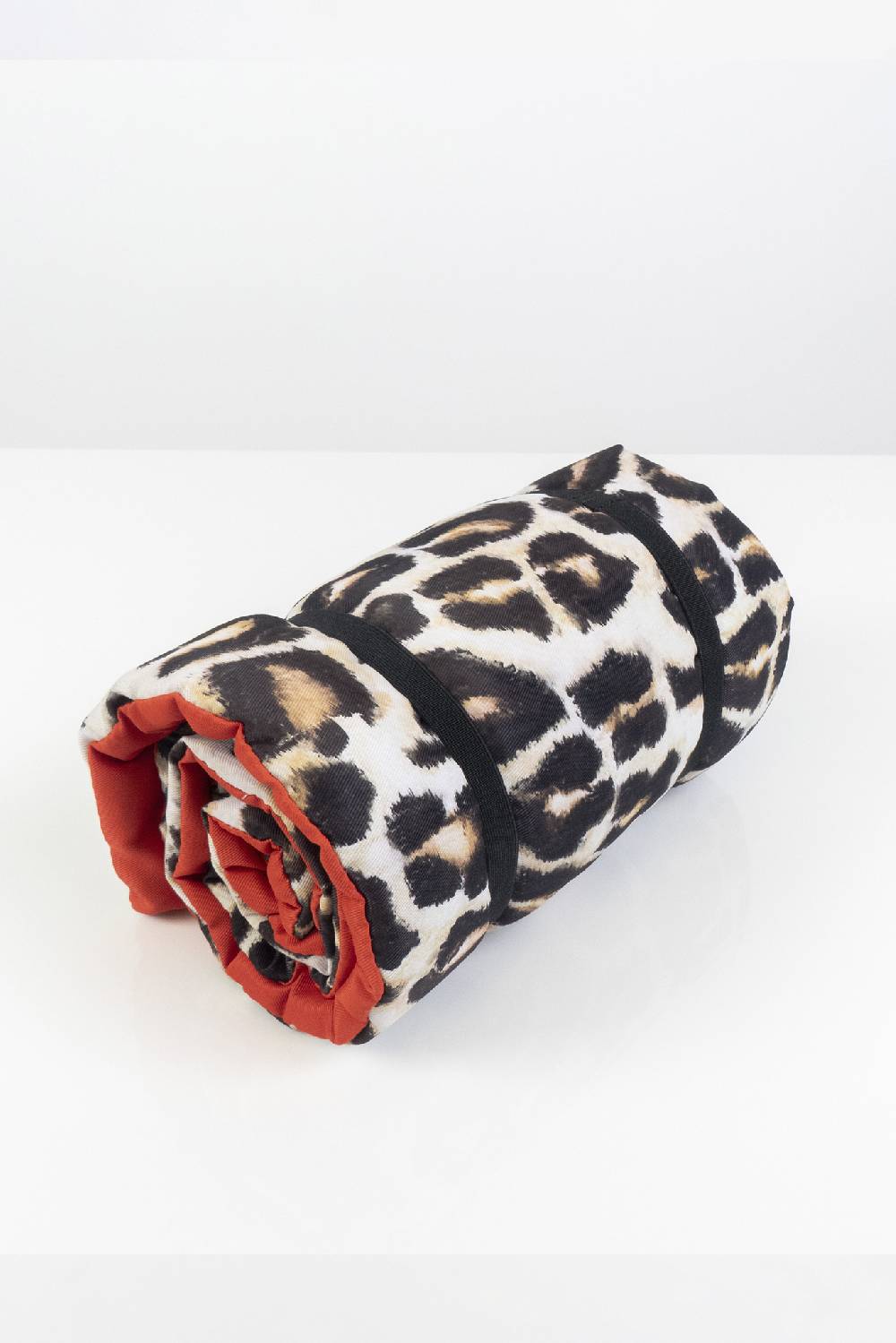 IVI GmbH LEO Dog Mat Super Sparpreis