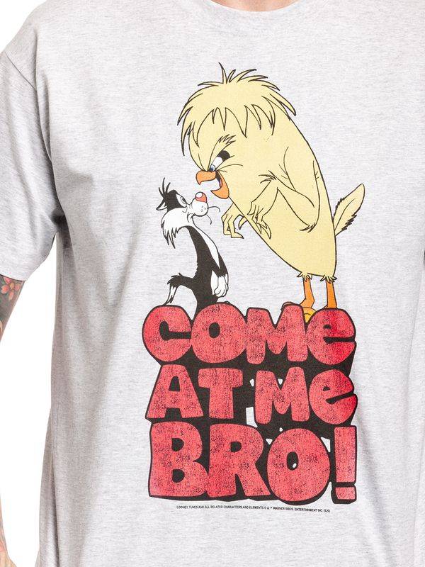 Nastrovje Potsdam Looney Tunes Come At Me Bro Herren T-Shirt grau meliert Weihnachtsangebot