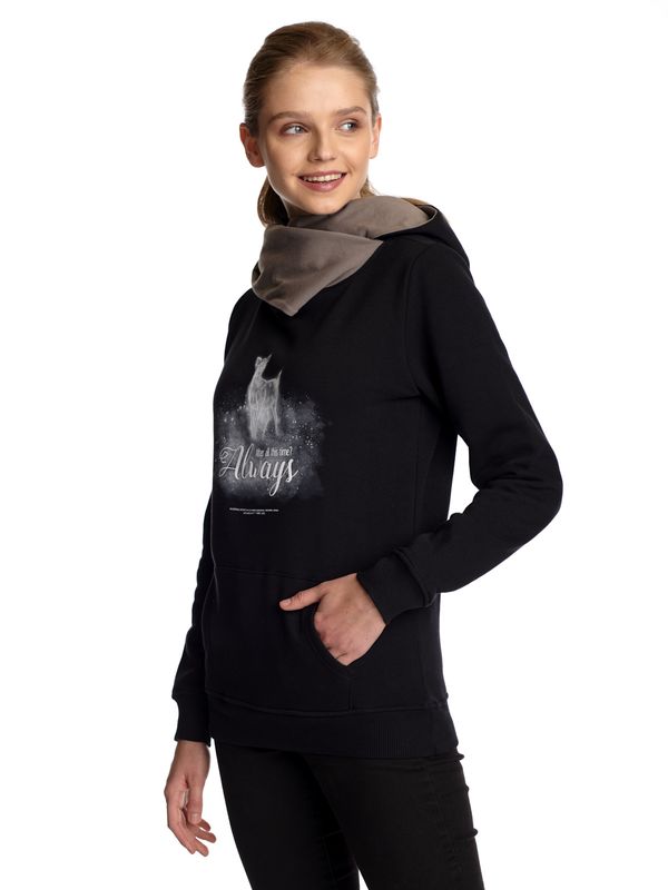 Nastrovje Potsdam Harry Potter Patronus Damen Schalkragenpullover schwarz/grau Zeitlich begrenztes Angebot