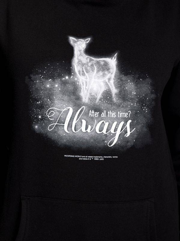 Nastrovje Potsdam Harry Potter Patronus Damen Schalkragenpullover schwarz/grau Zeitlich begrenztes Angebot