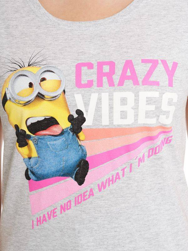 Nastrovje Potsdam Minions No Idea Damen T-Shirt grau meliert Saisonale Angebote