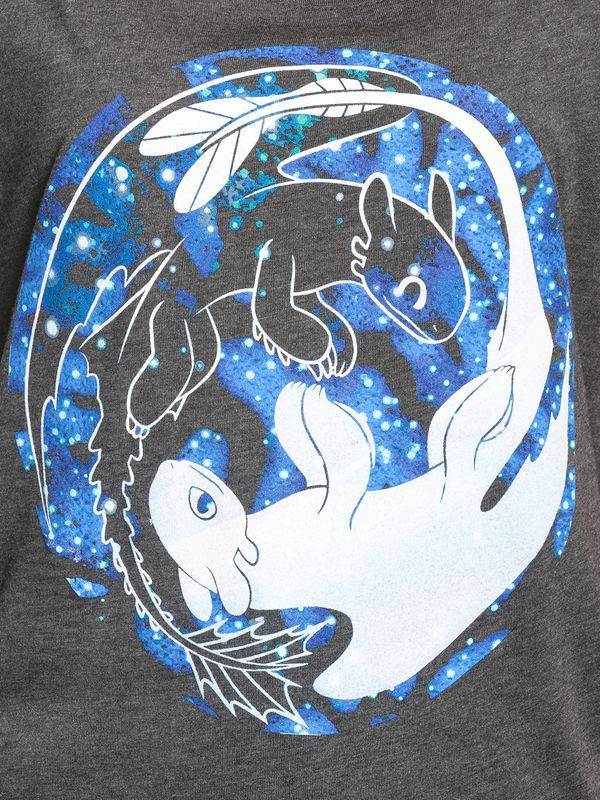 Nastrovje Potsdam Dragons, Drachenzähmen leicht gemacht Night & Light Damen Loose-Shirt dunkelgrau meliert Riesige Ersparnisse