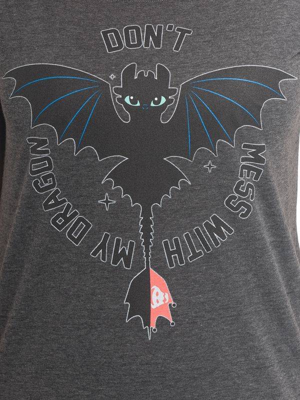 Nastrovje Potsdam Dragons, Drachenzähmen leicht gemacht Don&#039;t Mess Damen Loose-Shirt dunkelgrau meliert Letzte 2 Tage