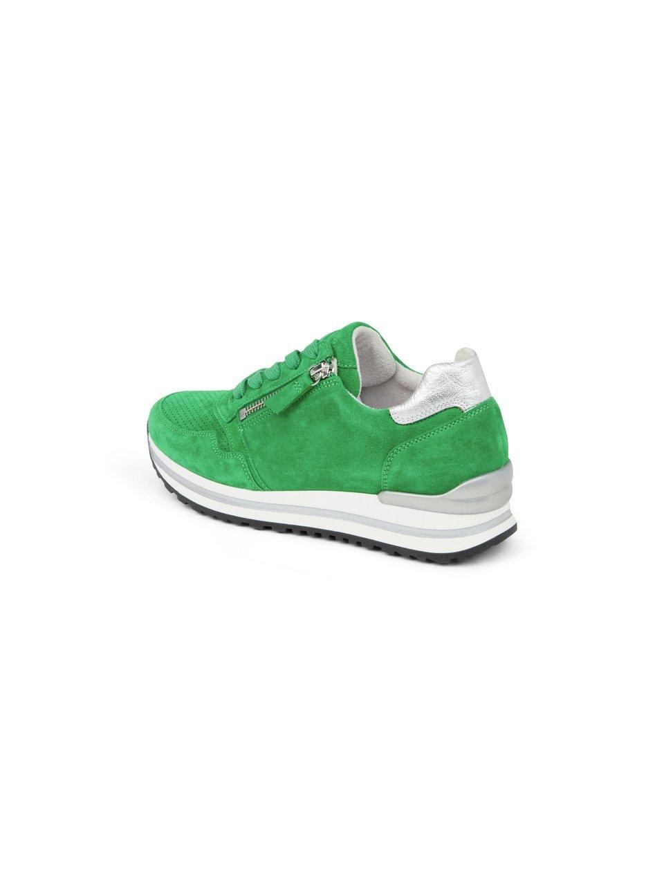 Gabor Comfort Sneaker Online Shopping