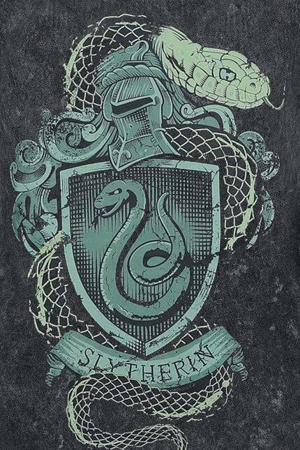 EMP "Slytherin Crest" Top dunkelgrün von Harry Potter Black Friday