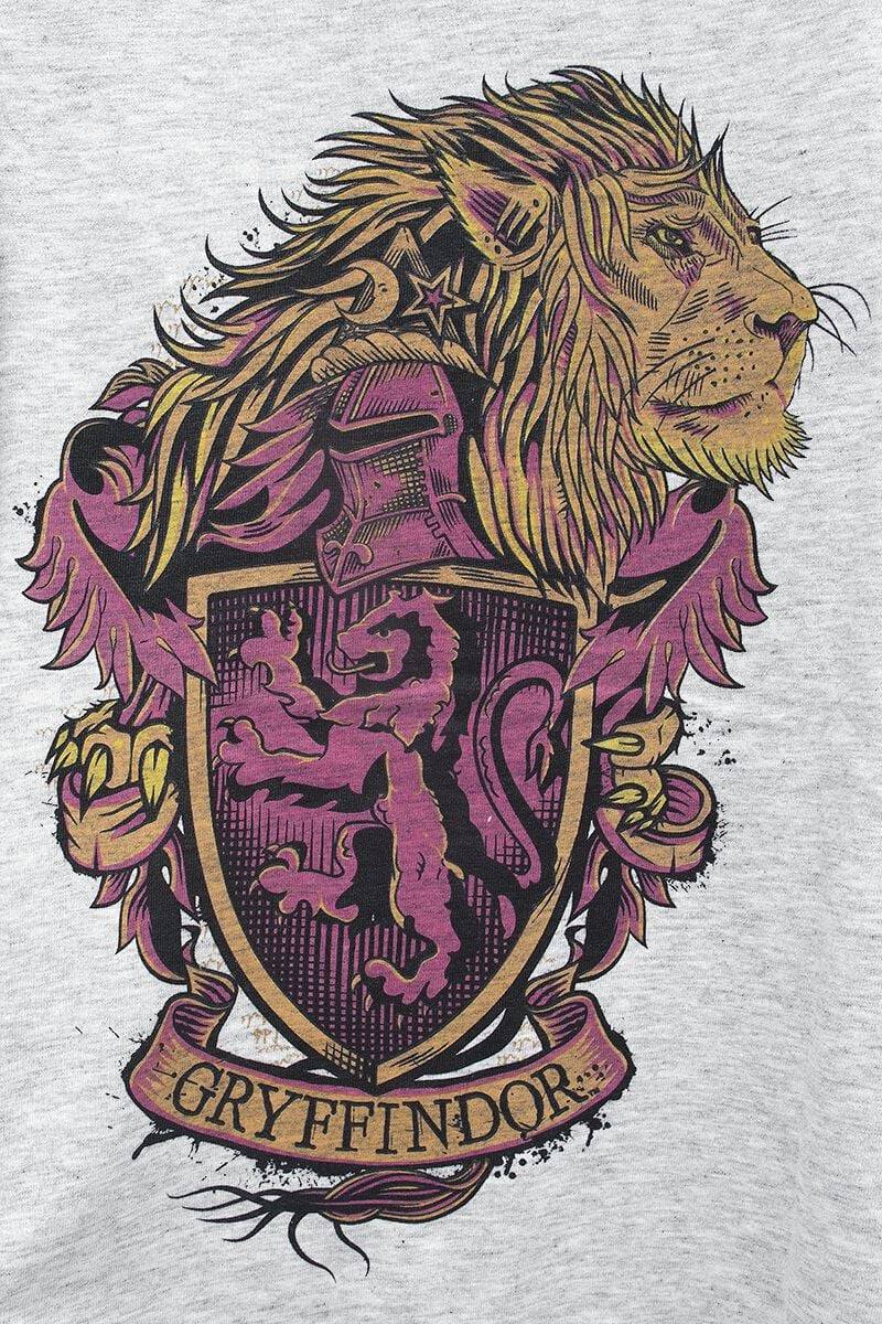 EMP "Kids - Gryffindor" T-Shirt rot von Harry Potter Große Rabatte