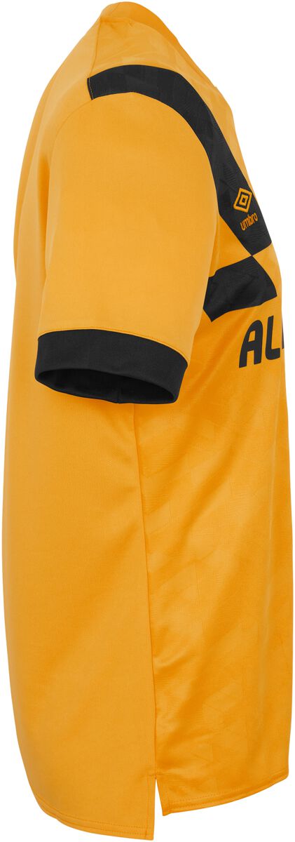 EMP "23/24 Home Jersey" Trikot multicolor von Dynamo Dresden Valentinstagsangebot